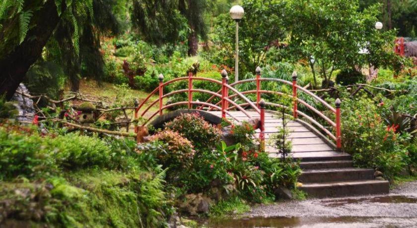 Hotel Veniz - Session Baguio City Екстериор снимка